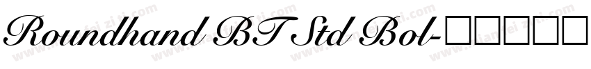 Roundhand BT Std Bol字体转换